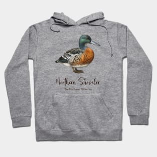 Northern Shoveler  - The Bird Lover Collection Hoodie